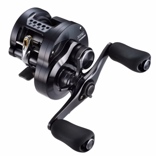 Shimano 24 CALCUTTA CONQUEST SHALLOW EDITION 31HG