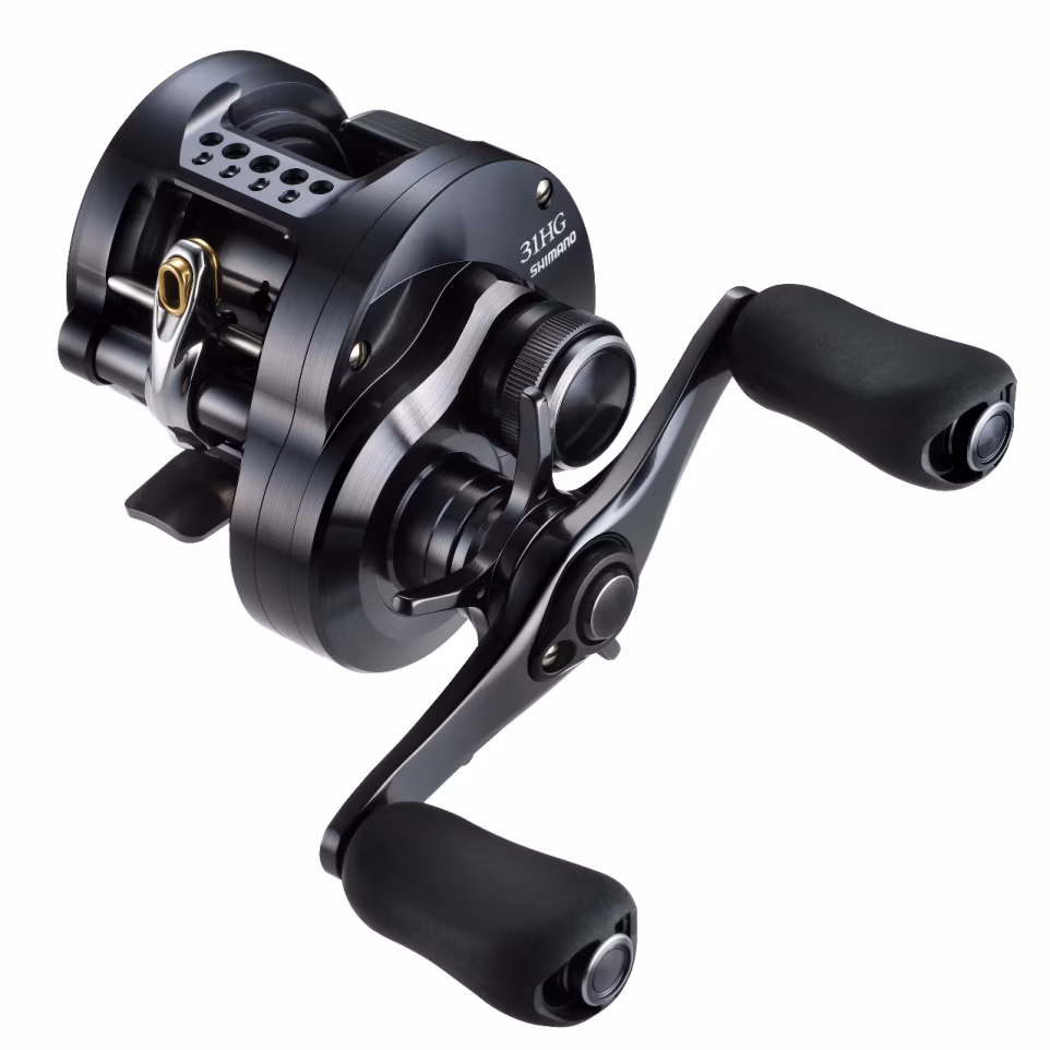 Shimano 24 CALCUTTA CONQUEST SHALLOW EDITION 31HG